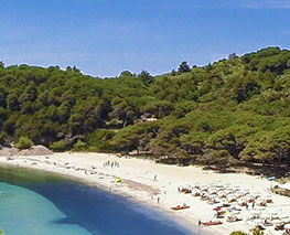 Spiaggia di Fetovaia